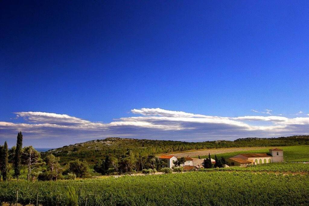 Entre Mer Et Garrigue Saint-Pierre-la-Mer  Экстерьер фото