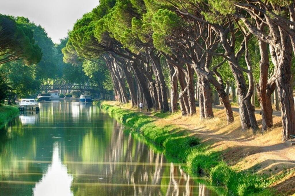 Entre Mer Et Garrigue Saint-Pierre-la-Mer  Экстерьер фото