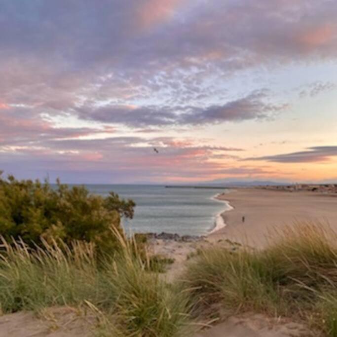 Entre Mer Et Garrigue Saint-Pierre-la-Mer  Экстерьер фото