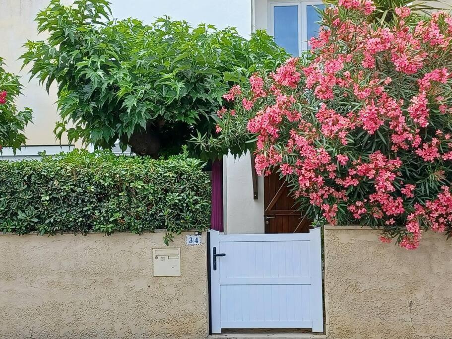 Entre Mer Et Garrigue Saint-Pierre-la-Mer  Экстерьер фото
